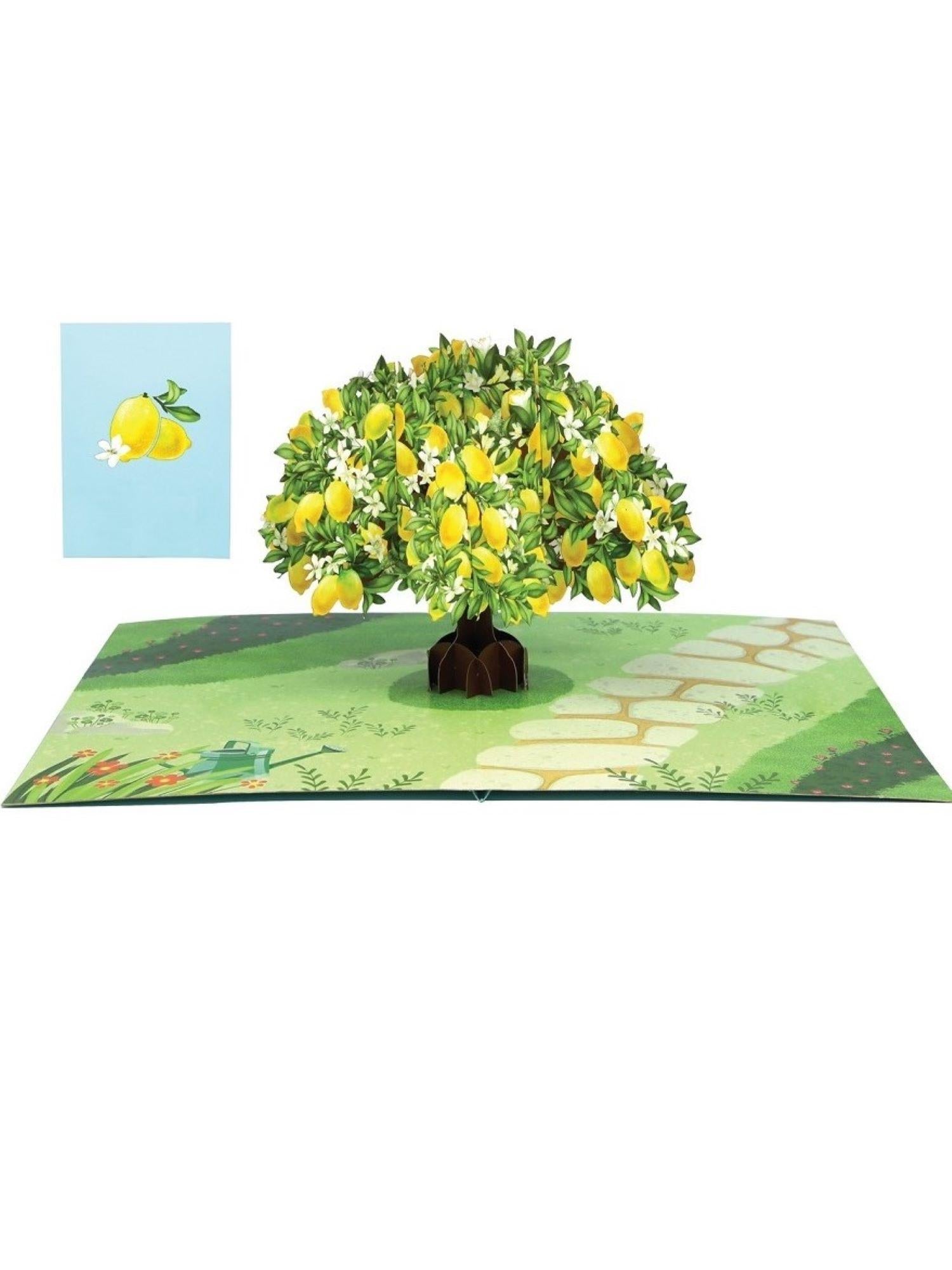 Origamo biglietto di auguri pop up con albero di limoni KP056 LEMON TREE ORIGAMO