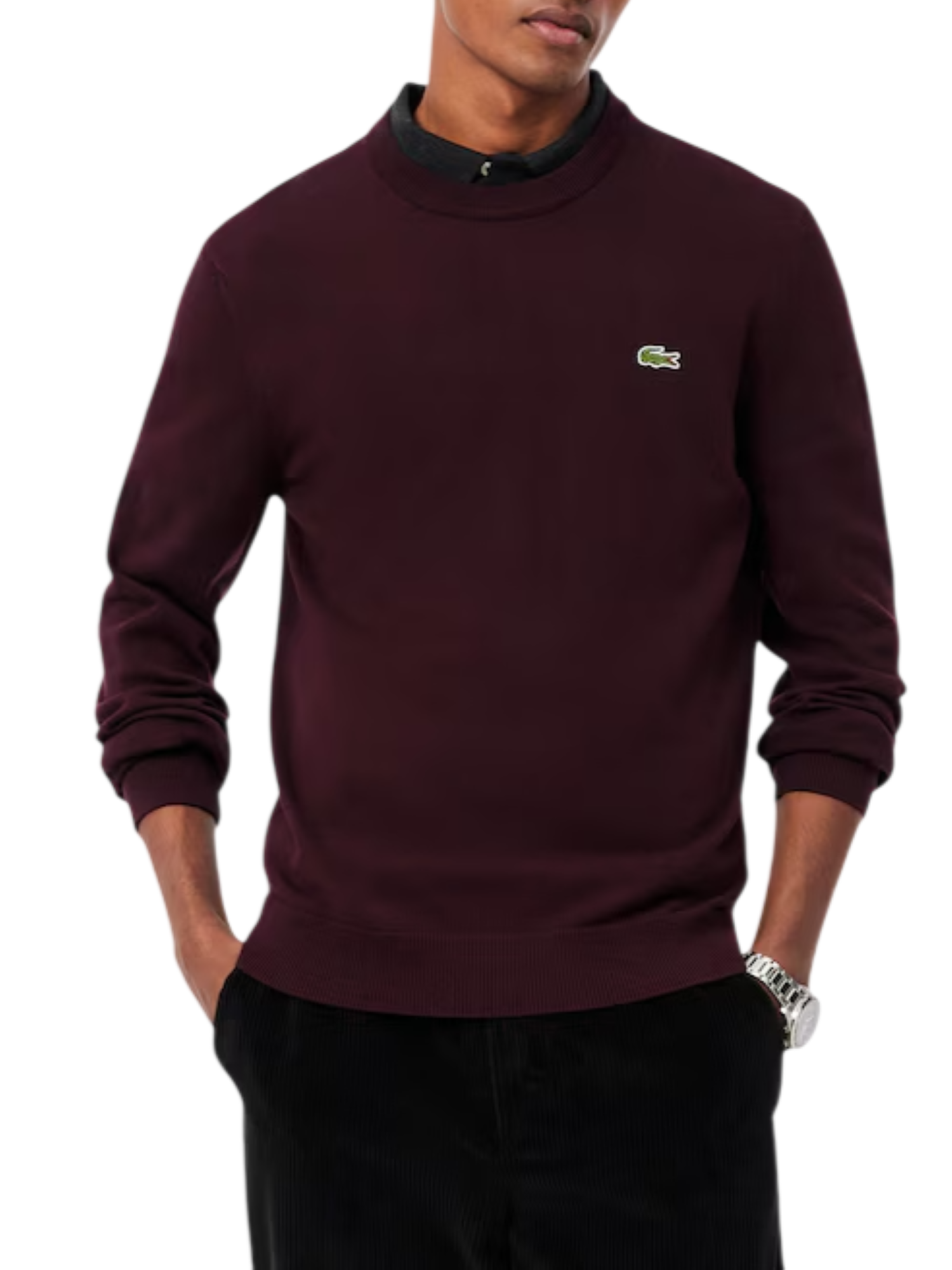 Lacoste maglia girocollo uomo in cotone bordeaux AH1985 3KE LACOSTE