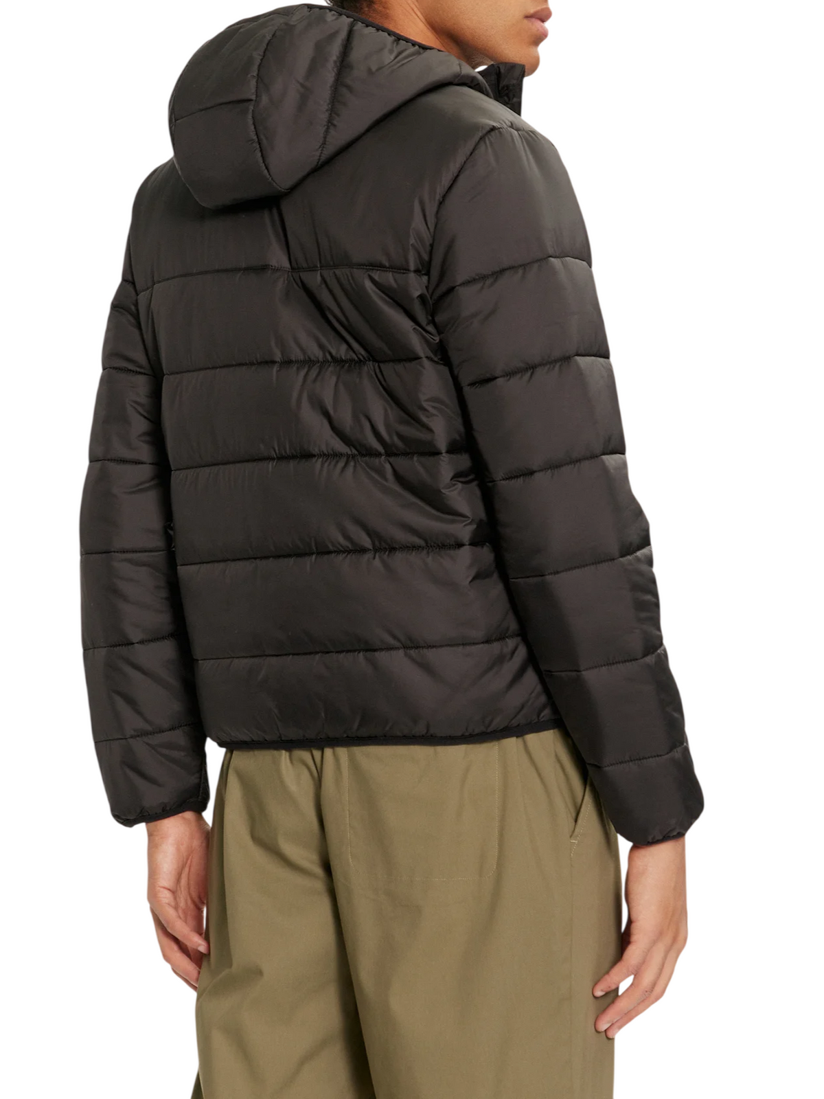 BH6763 C31 LACOSTE