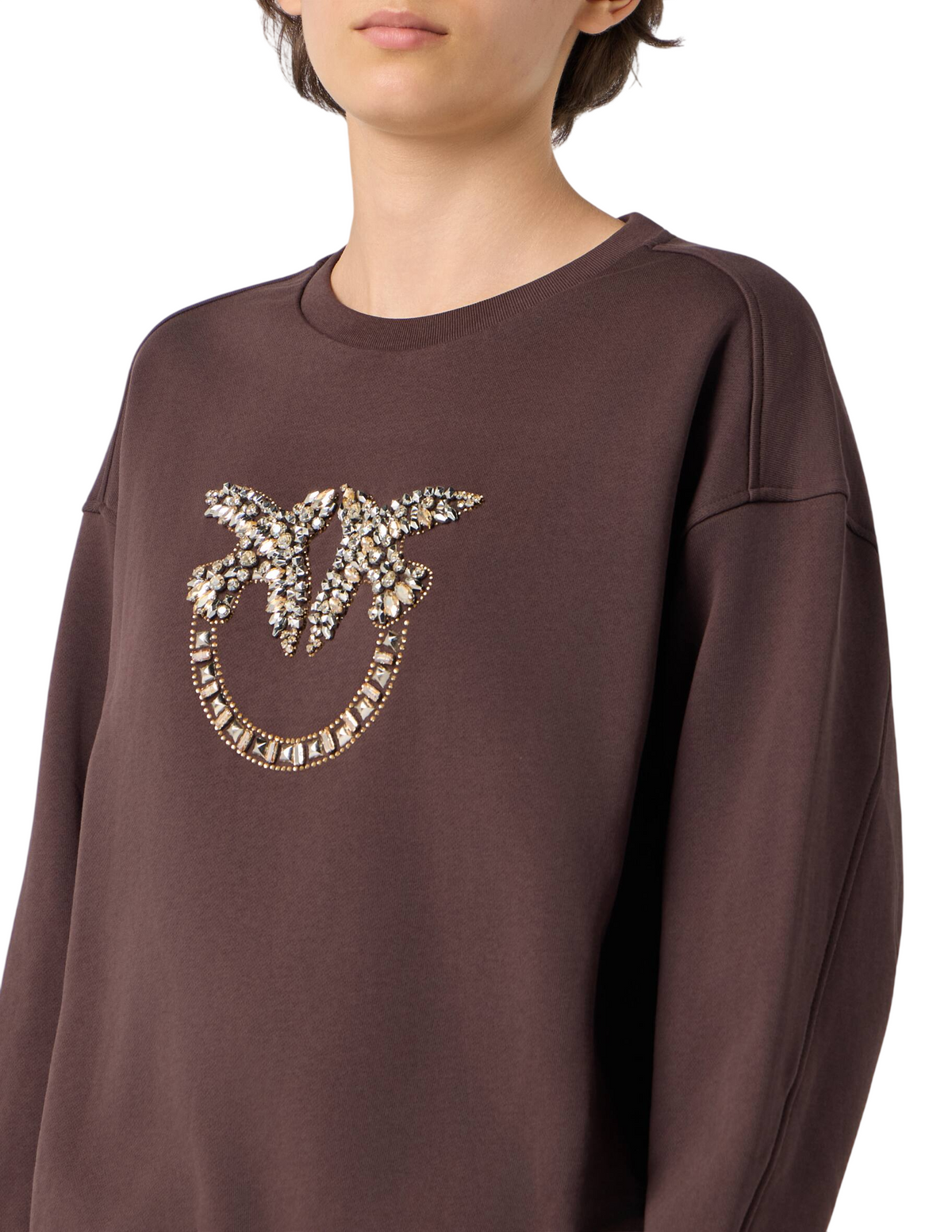 Pinko felpa Nelly con logo Love Birds gioiello marrone 100534-A3JQ L72 PINKO