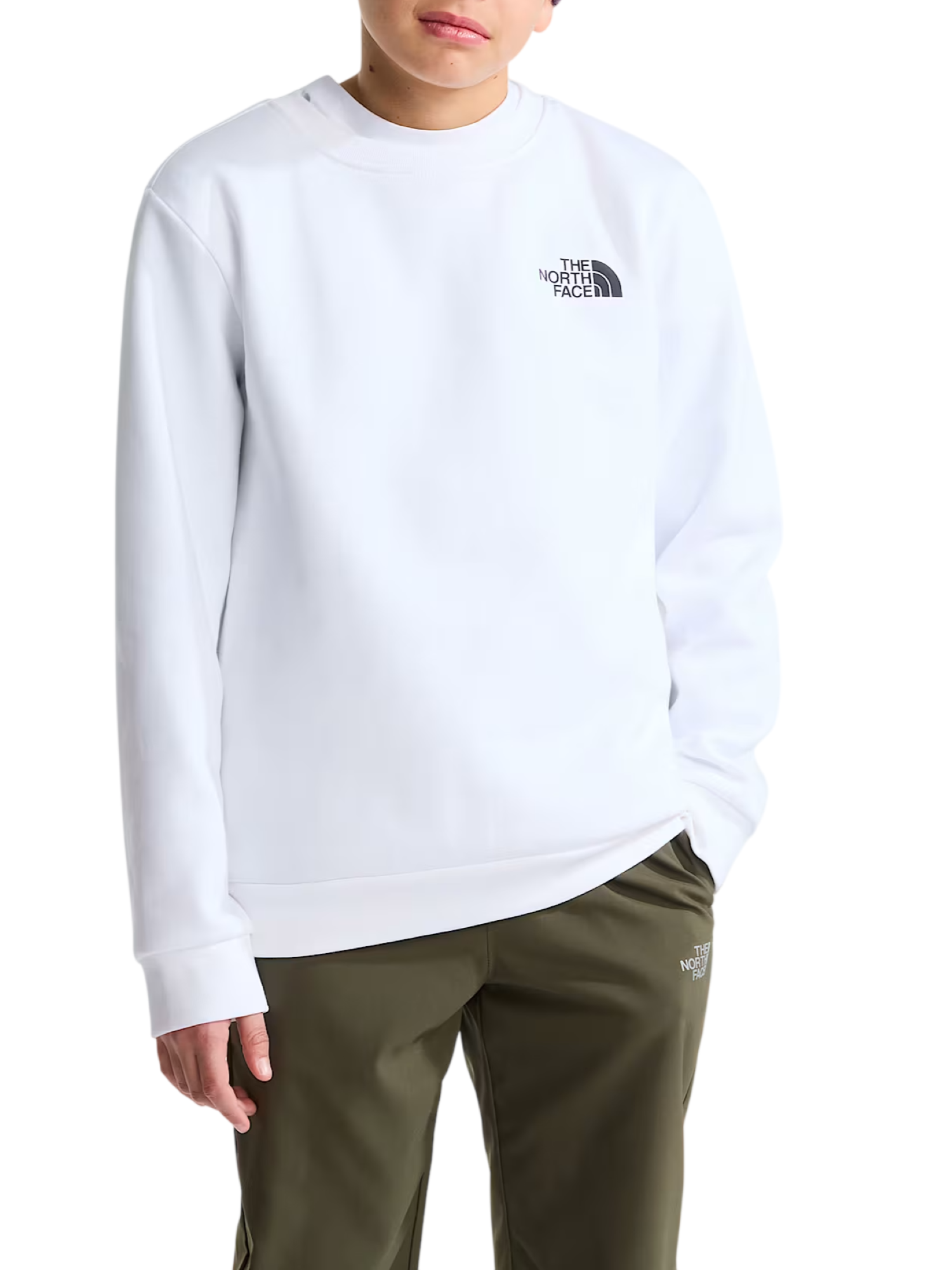 girocollo teen evolution box crew NF0A8F9W FN41 THE NORTH FACE