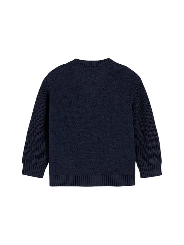 KN0KN02305 C1G Tommy Hilfiger