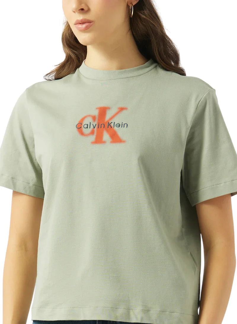 Calvin Klein T-shirt donna manica corta in cotone verde salvia LV047F800G PEZ Calvin Klein Jeans