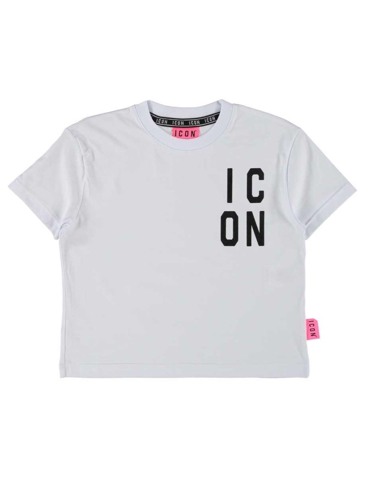 ICON IGKS005091000