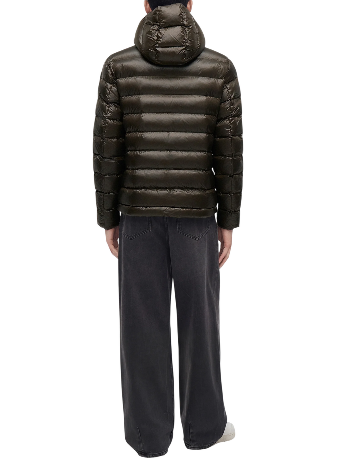 Blauer piumino uomo Adams con cappuccio marrone 26WBLUC02054-005958 382EB BLAUER 