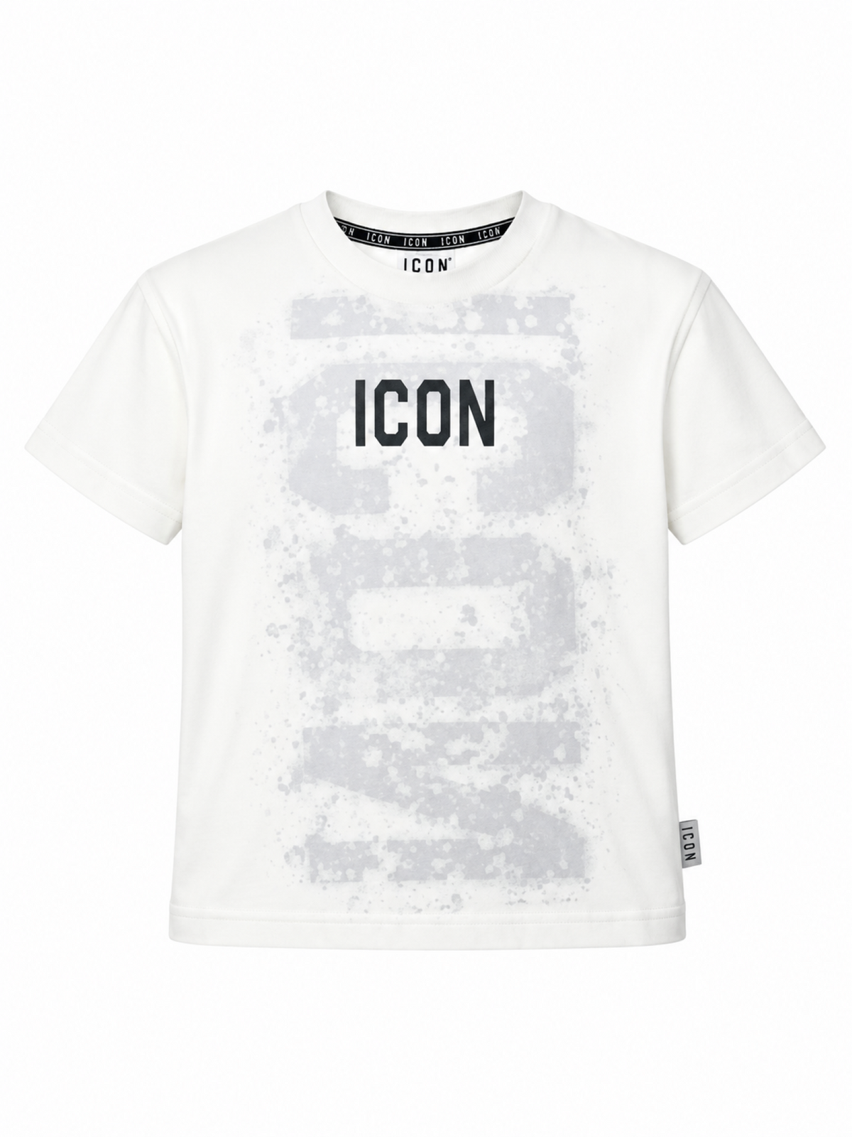  IBKS001407 1001 ICON 