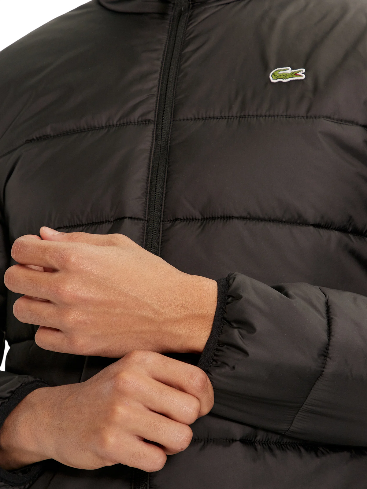 BH6763 C31 LACOSTE 