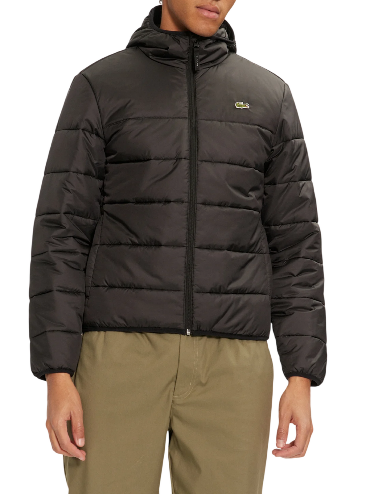  BH6763 C31 LACOSTE 