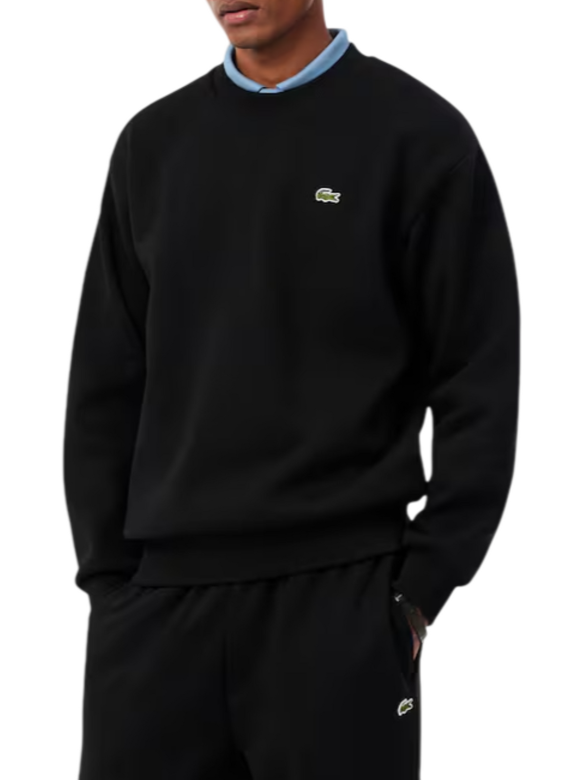  SH8868 031 LACOSTE 