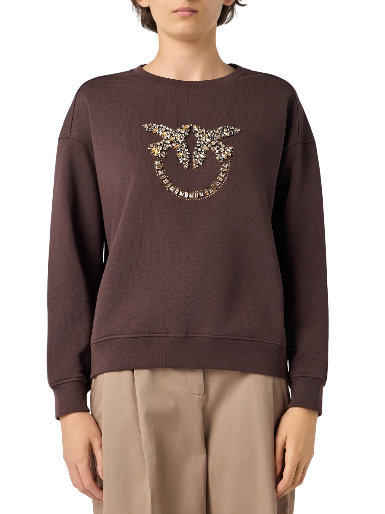 Pinko felpa Nelly con logo Love Birds gioiello marrone 100534-A3JQ L72 PINKO 