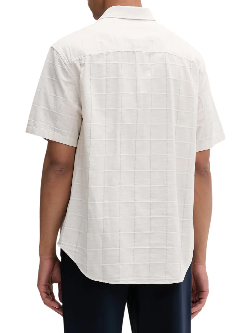 Calvin Klein camicia uomo in cotone check manica corta ecrù LV04LF115G GNA Calvin Klein 