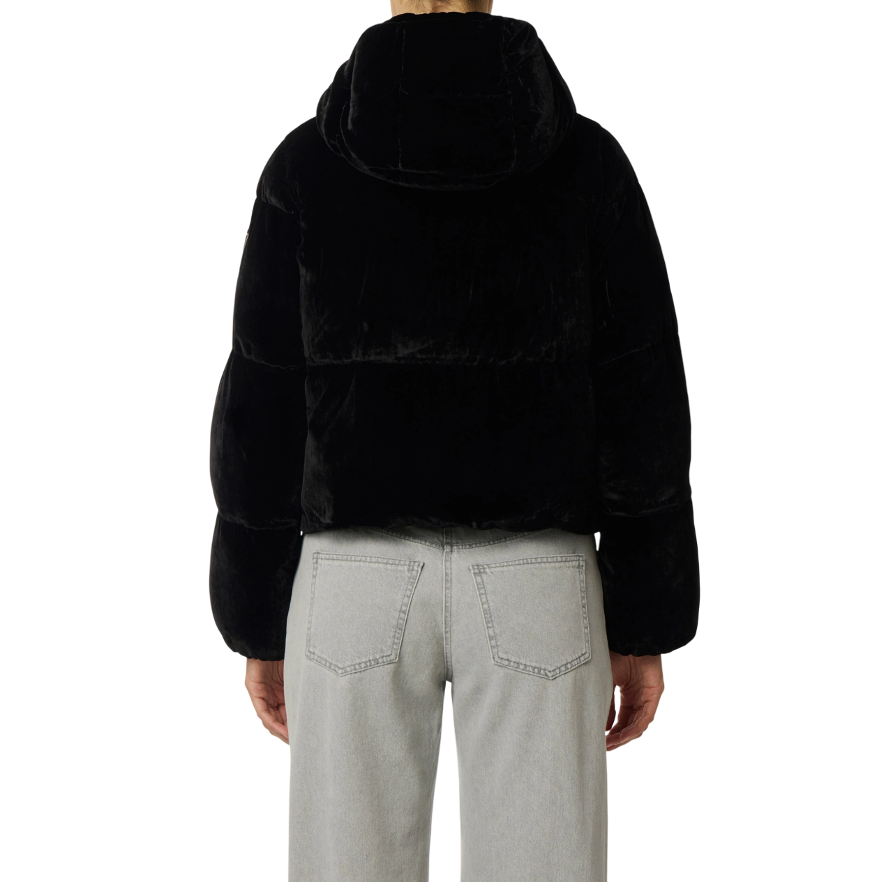 Elisabetta Franchi giubbino imbottito crop in velluto nero PI82D56E2 110 ELISABETTA FRANCHI 