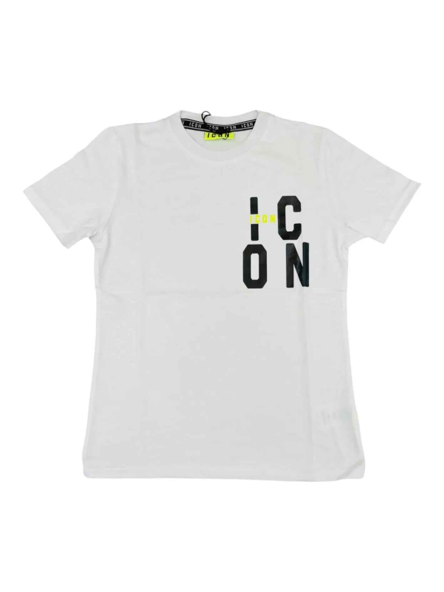 ICON IBKS006491000
