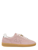 Z36248ROSA