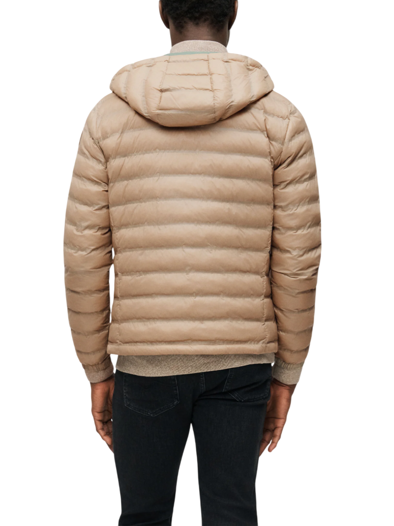 Blauer giubbino imbottitto uomo con cappuccio Charles beige 26SBLUC02179-007104 327RF BLAUER 