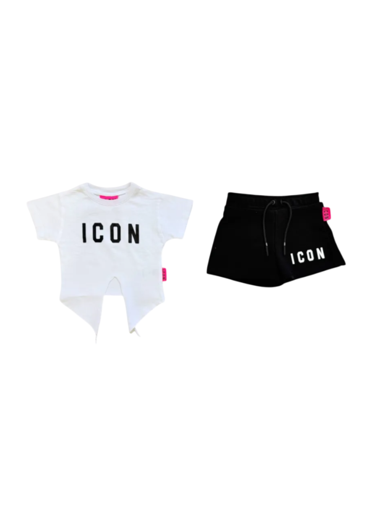 ICON INGFS006259000